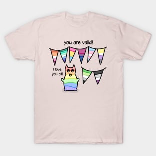 You are valid pride flags T-Shirt